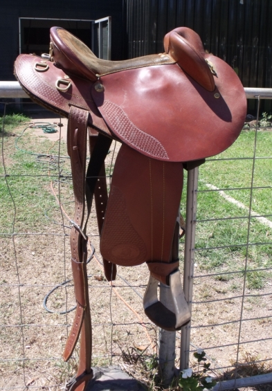 Horseproblems saddle_edit.JPG